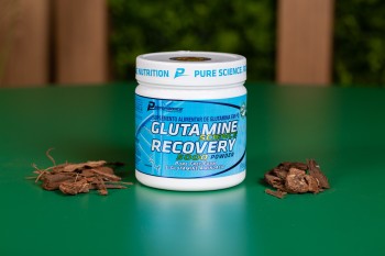 Glutamina powder 300 gramas performance.