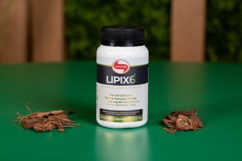 Lipix6 1000mg 120 caps vitafor.